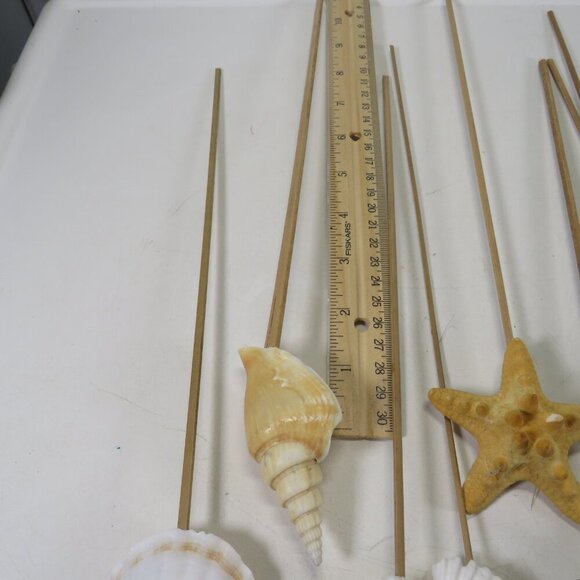 REAL seashells on wooden picks for flower arrangements 10-12" long - Picture 7 of 8